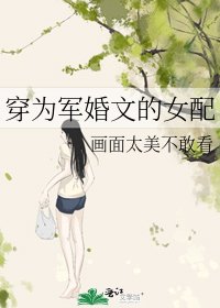 穿为军婚文的女配