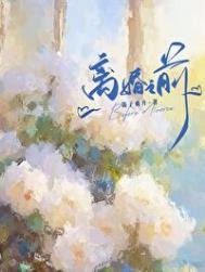 离婚之堑